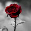 ...__love__6