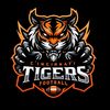 cincinnati__tigers