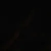 manuzz_147