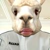 faizzaby_
