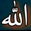 user0tlt97xwrk