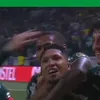 newtongeraldo678