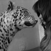 shosh44__