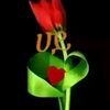 user5914855819356