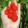 ibunya ArsyadYumna🌱🍓