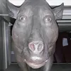 ritchierivero_