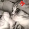forgetfulfinalboss