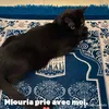 nourcannes