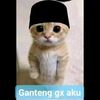 aannnnnnnnn15