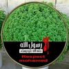 user469306181170