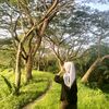 milaa2351