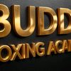 buddu.boxing.academy