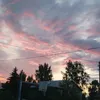 useraynymgo1xr