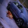 kaylen_44_