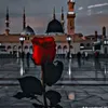 ad_oplp