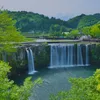 user8a493nnqzu