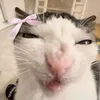 ananasi._.k