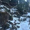 rana_37857611