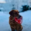 mo_mo_1405