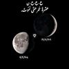 mahmouddib9