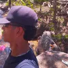 kaua_srs7