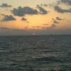 defananur