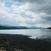 cam_17_edwards