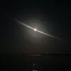jankovic_sara_4