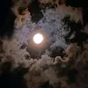 oamorsotedestroi