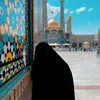 mzr_313