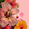 love.rosemaryy