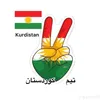 delshad.14
