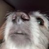 nombrefalsoper3z