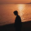 sunflower_seven7