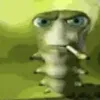 enzo_874