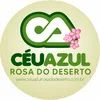 ceuazulrosadodese