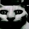 most_catguy