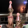 Jasmine and Rose (and Amelia)