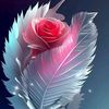 user4825559496996