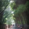baofoeng