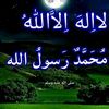user7736701816158