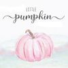 littlepumpkinsmy