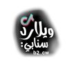 ويلارد FM