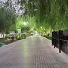 hamedalbaloshi79