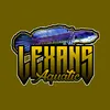 lexansaquatic