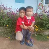 linhnguyen199337