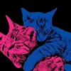 cat.name.uy