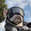 bizthefrenchie