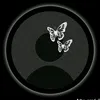 user3618145913000