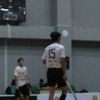 wiltan_